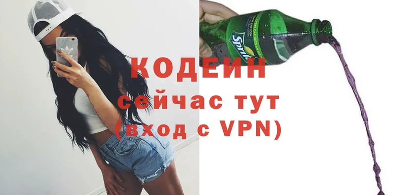 Кодеиновый сироп Lean Purple Drank  Сольцы 